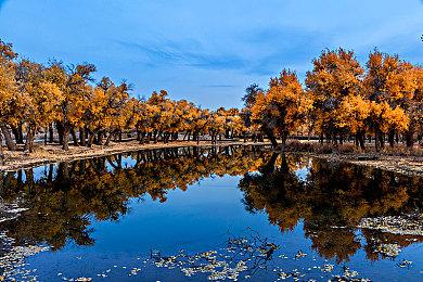 《瘟疫传说：安魂曲》PC成就列表曝光 共有16个章节